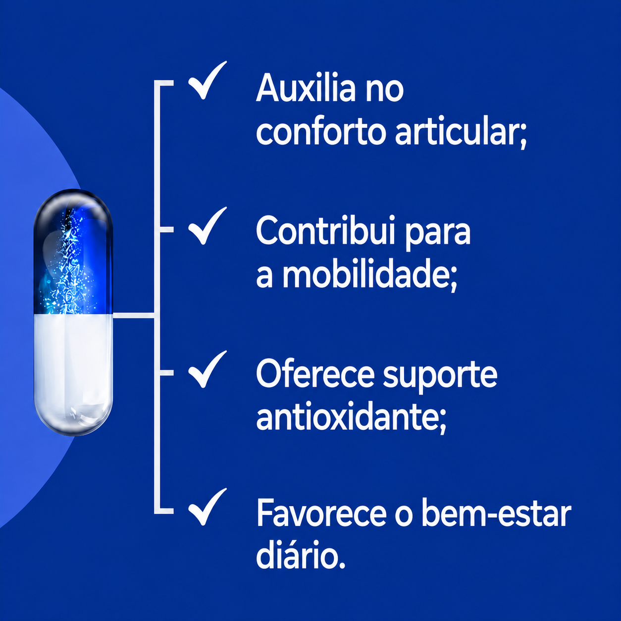 Anti-Inflamatório (60+) Artrite E Osteoartrite - 60 Cápsulas