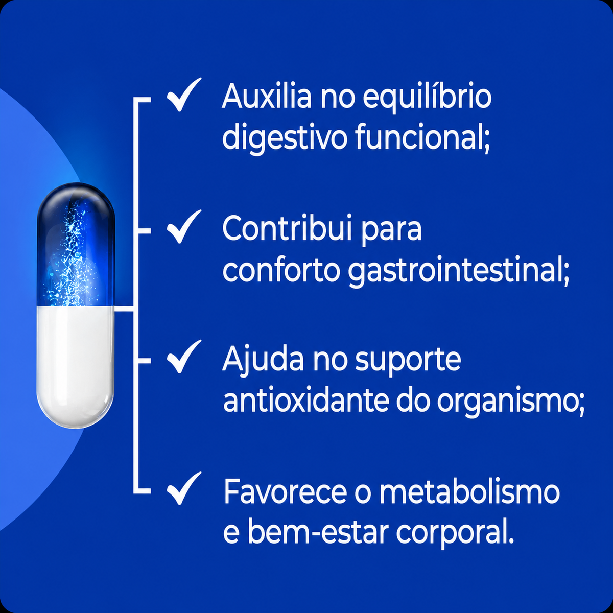 Gengibre 400Mg - 120 Cápsulas