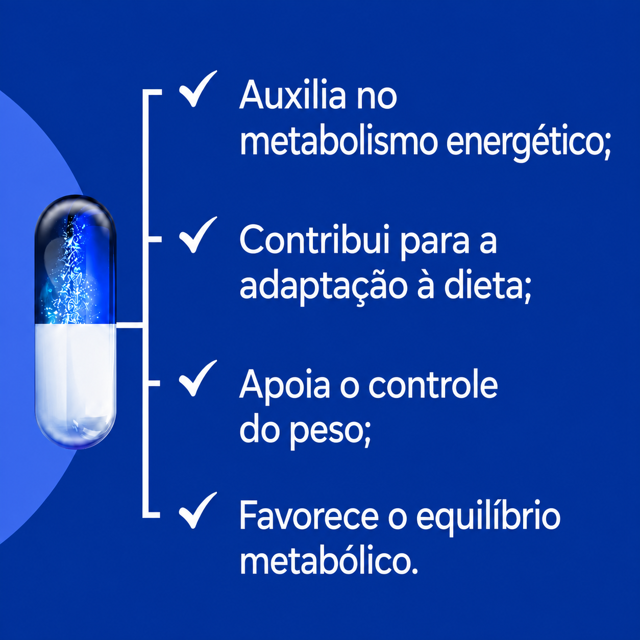 Composto "Dieta Cetogênica" 60 Doses