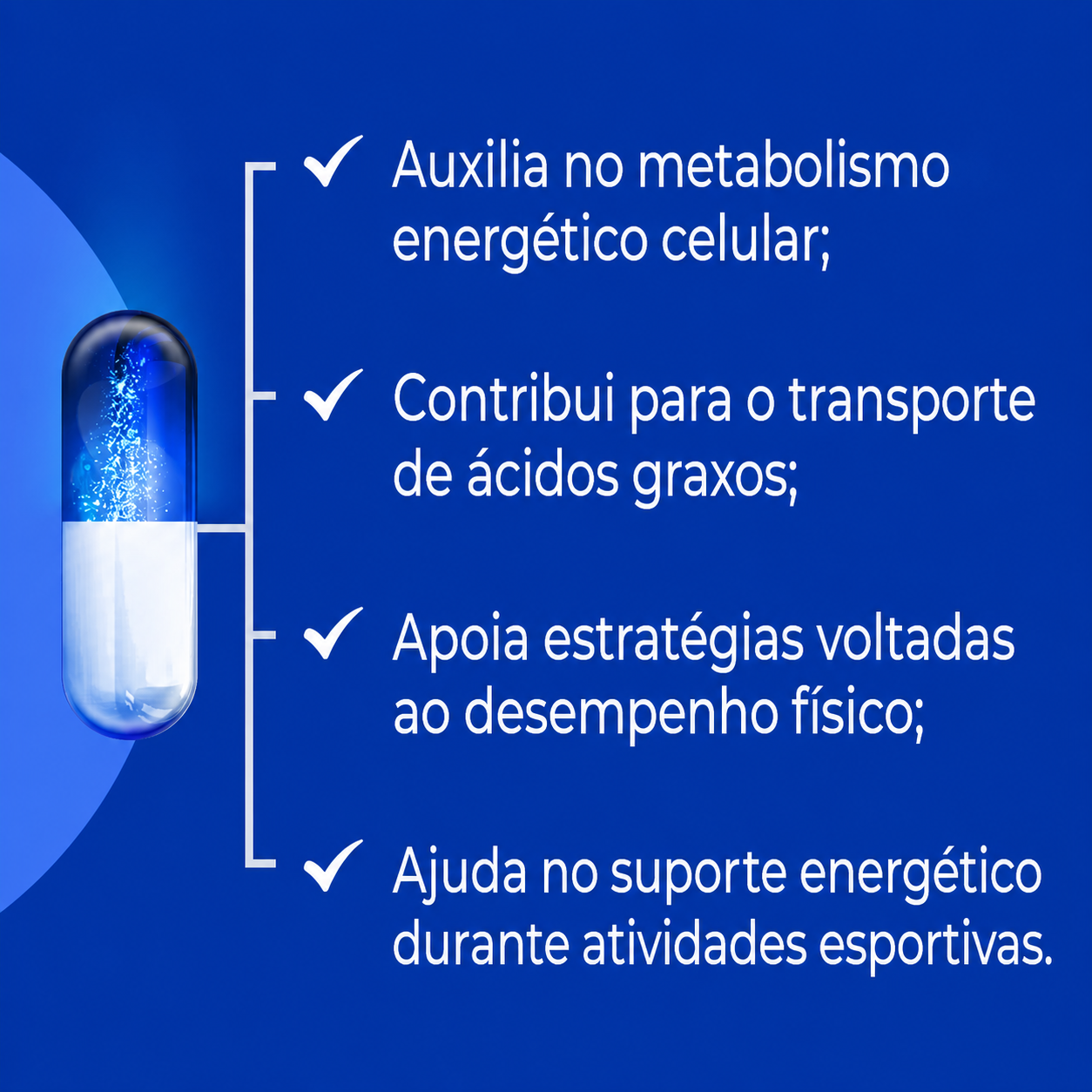 L-Carnitina 500mg 60 Doses