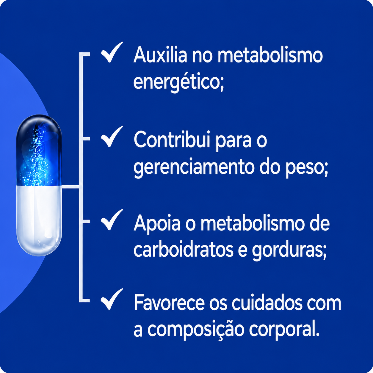 AMPK - Mulher (Desacoplador de gordura) 30caps (cada)