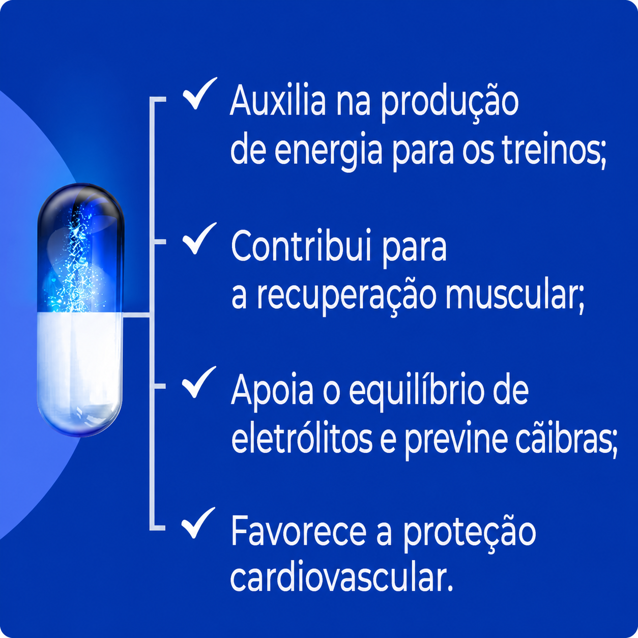 Magnésio Mag Fit 60 Cáps