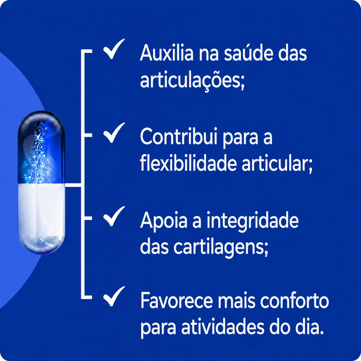 Saúde Das Articulações 60+ - 30 Cápsulas