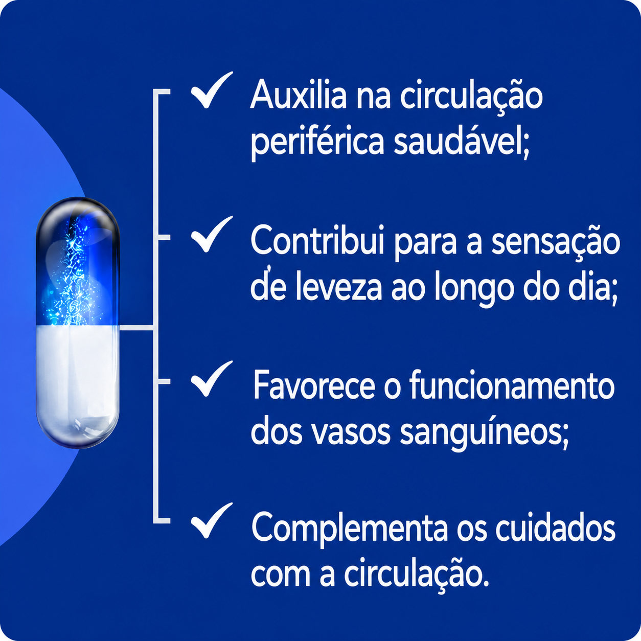 Composto para má Circulação 60 Cáps