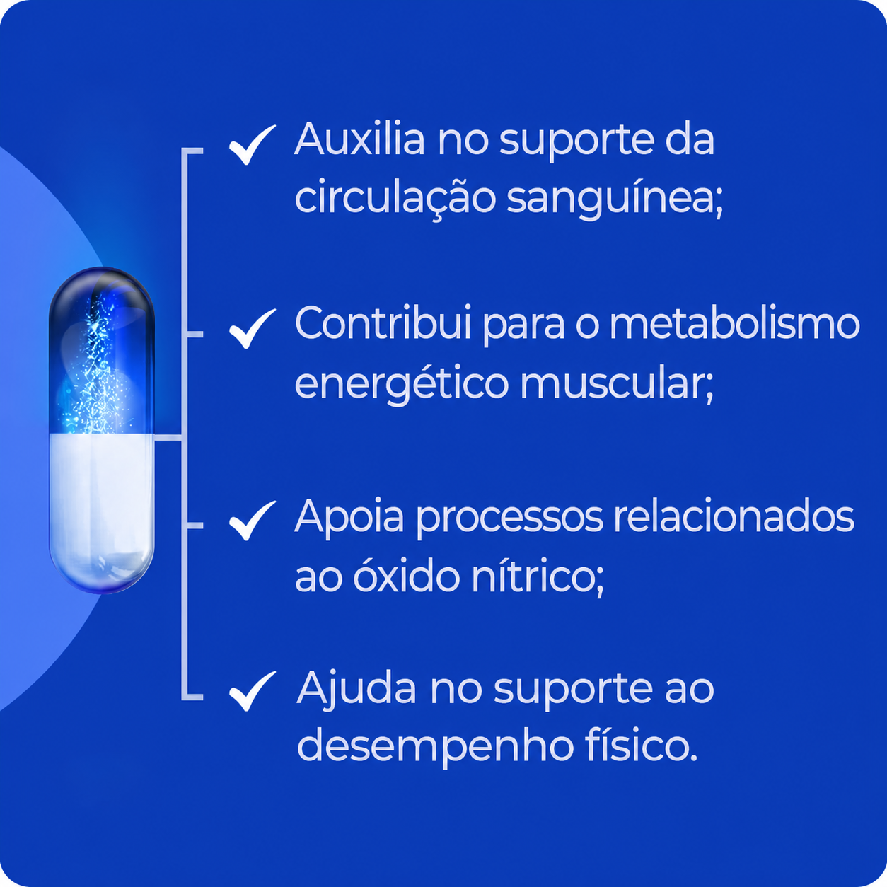 L-Arginina 500mg com L-Ornitina 250mg 90 Cápsulas