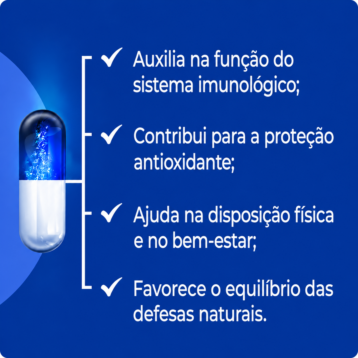 Astragalus 500mg