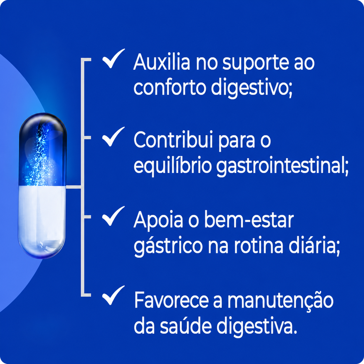 Espinheira Santa 500Mg - 90 Cápsulas