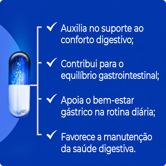Espinheira Santa 500Mg - 90 Cápsulas