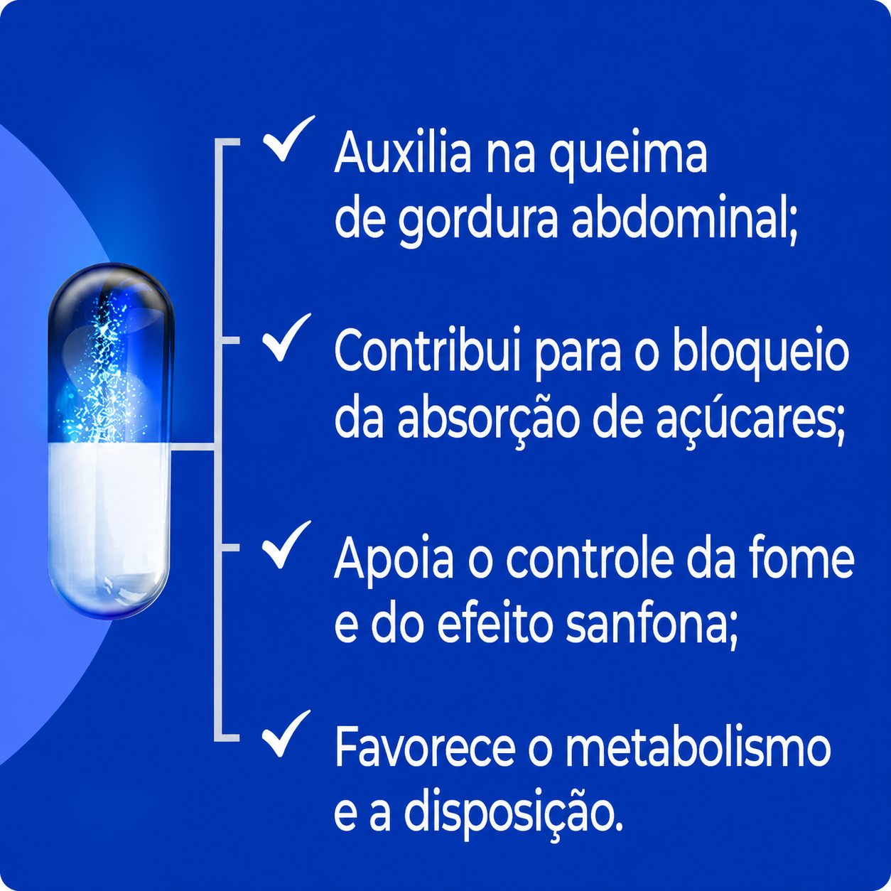 Mitburn 50Mg 30Caps + Seca Gordura Abdominal (Insea 2 250Mg) - 60 Cápsula