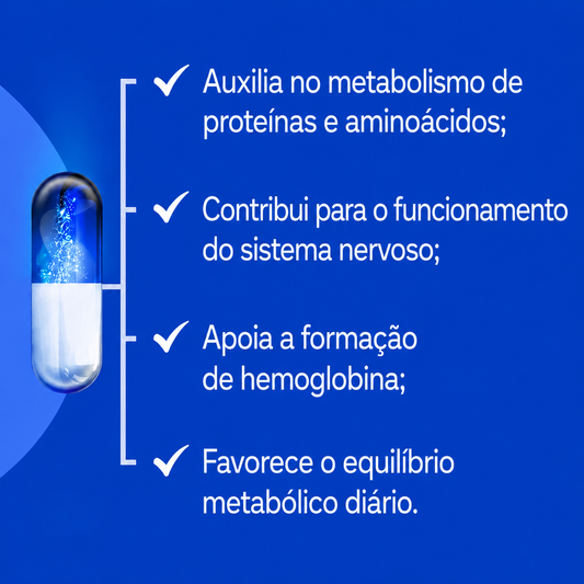Vitamina b6 100mg 100 caps