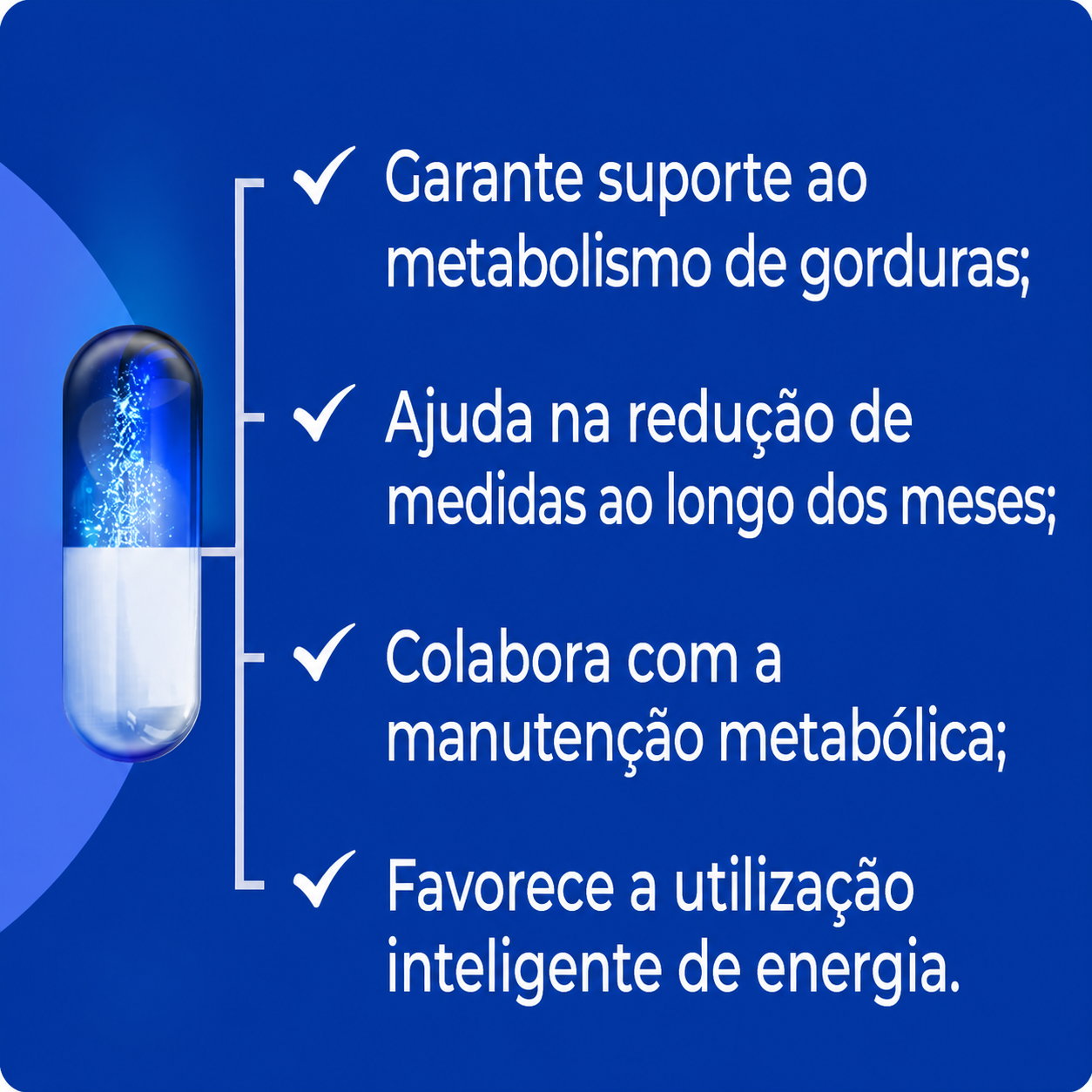 Morosil 500mg com selo de autenticidade 30 Cápsulas Vegan