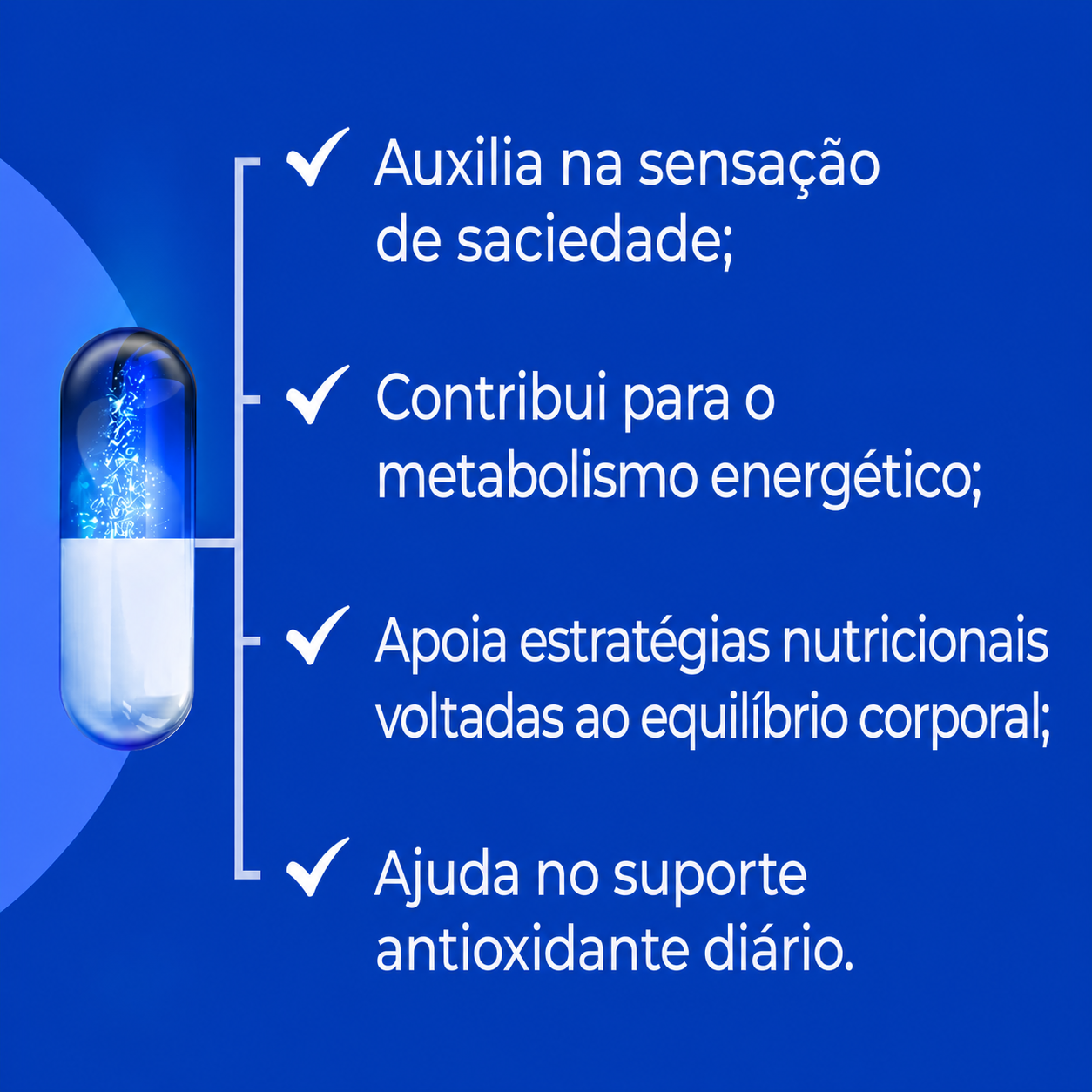 Cápsula seca barriga com goji berry 60 doses