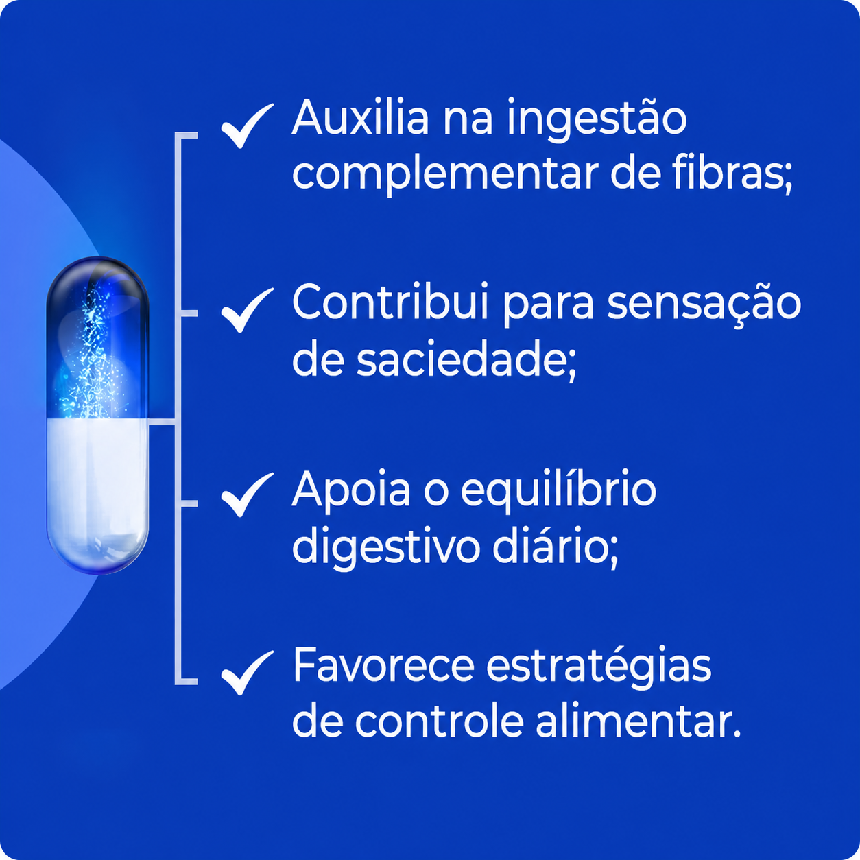 Goma Guar 500mg