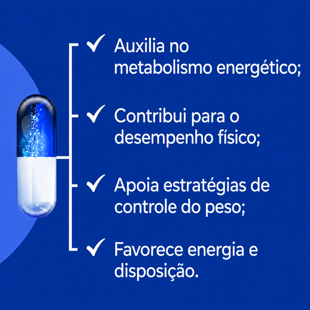 Piruvato de Cálcio 500mg 120 Cáps