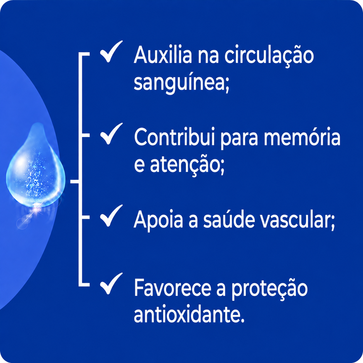 Tintura de Ginkgo Biloba 30ml
