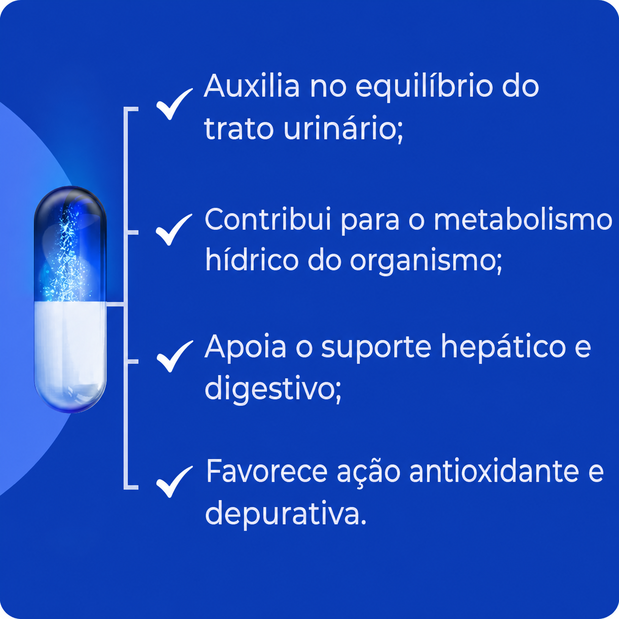 Chapéu De Couro 200Mg - 90 Cápsulas
