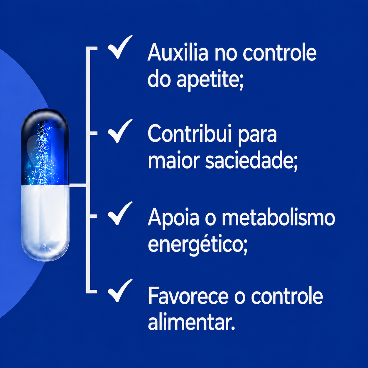 OEA - Oleoiletanolamida 200mg - 60caps