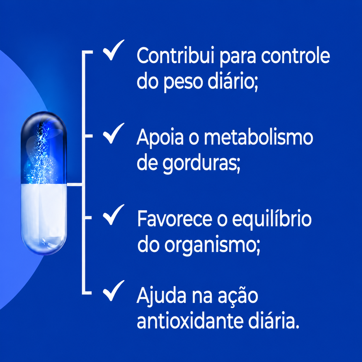 Morosil com Pqq - 60 Caps