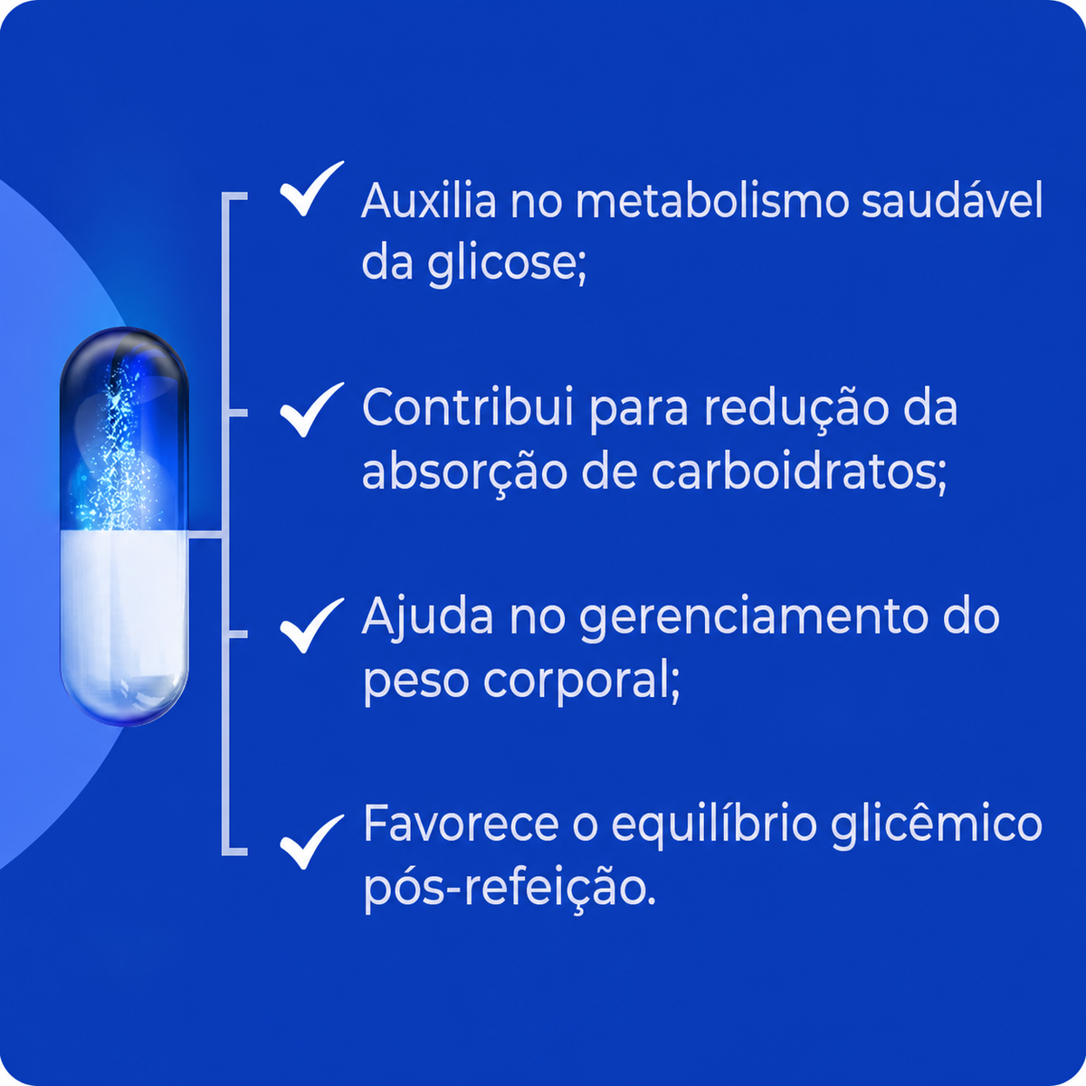 Seca gordura abdominal (InSea2 250mg)