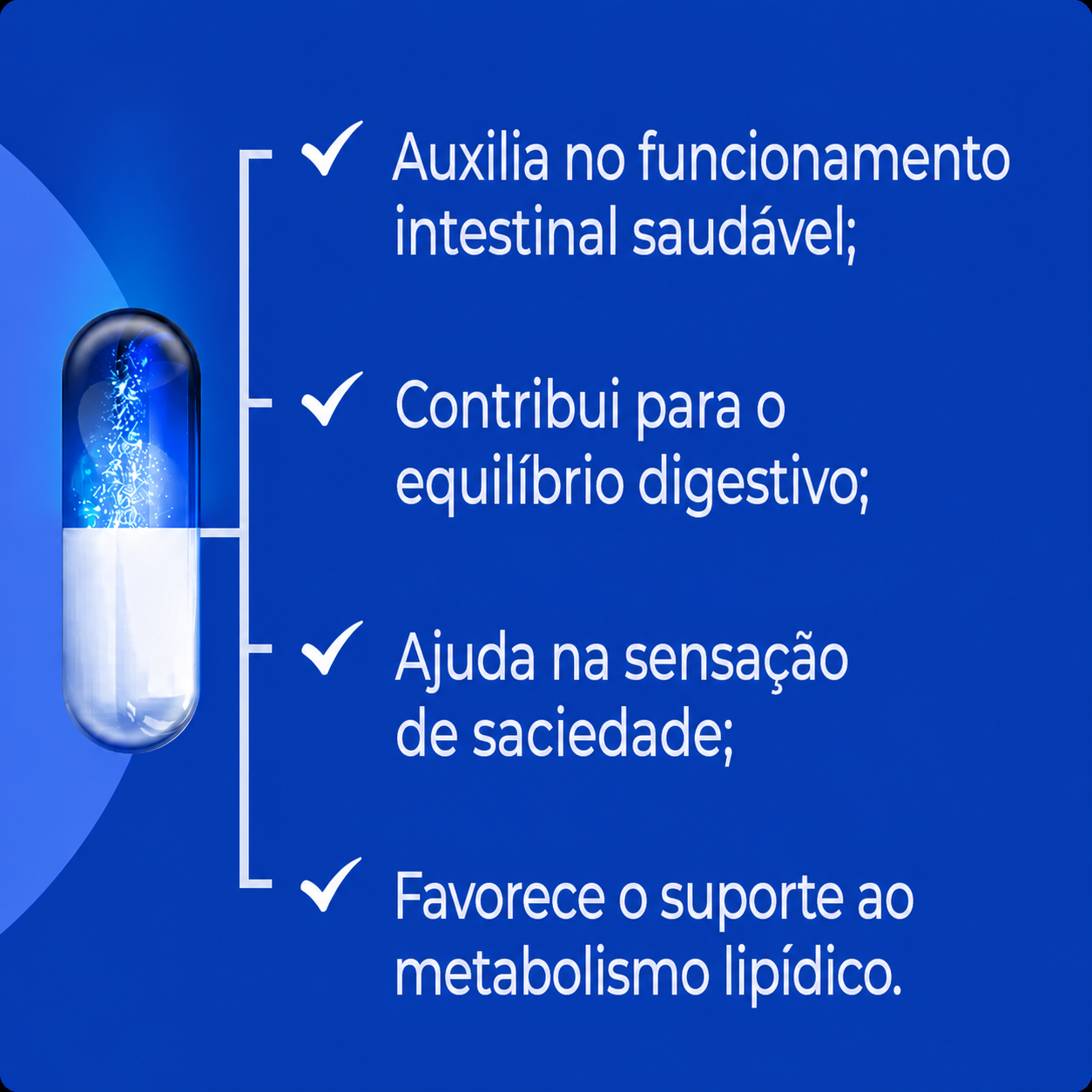 Psyllium 500Mg - 60 Cápsulas