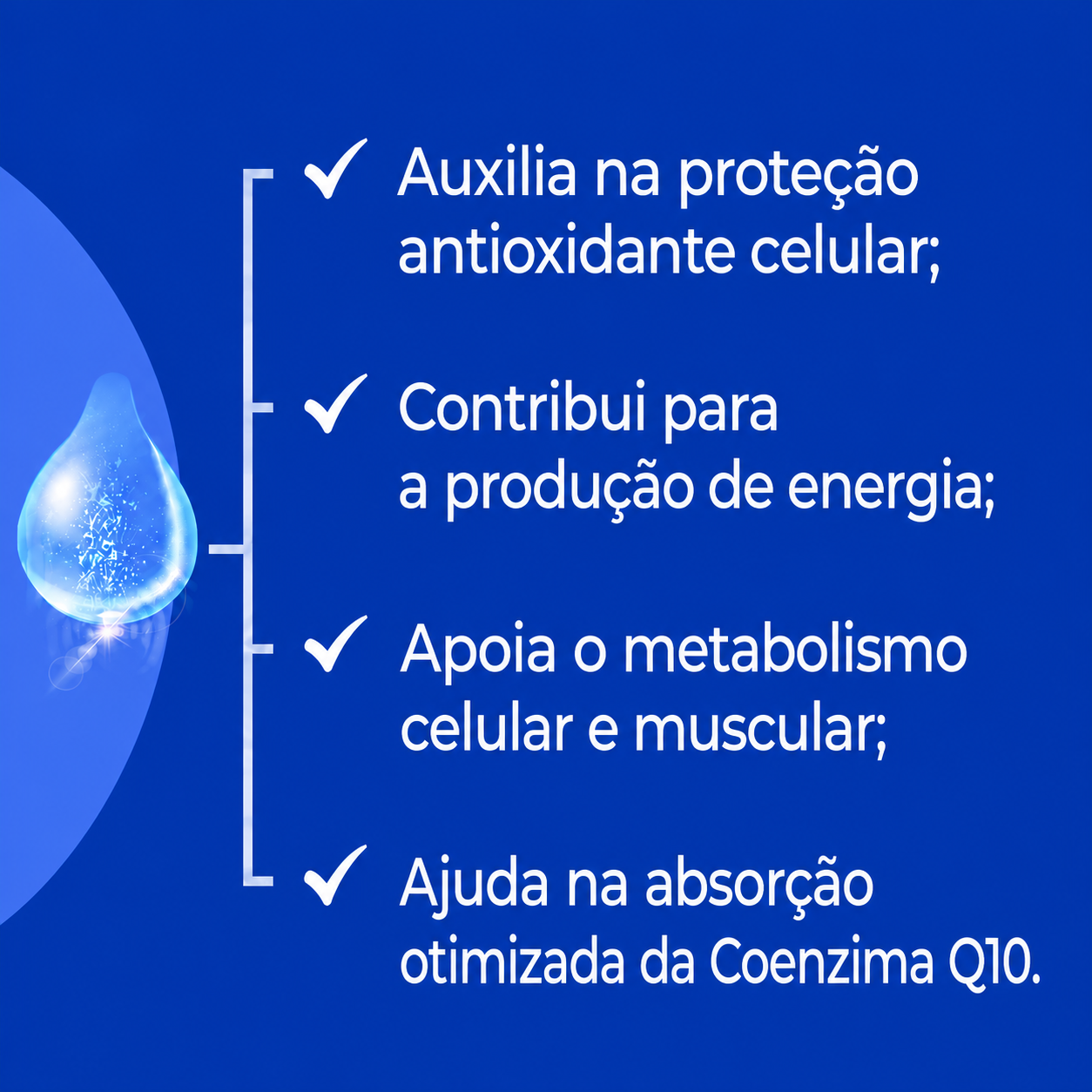 Coenzima Q10 Inteligente - MaxSolve 6ml
