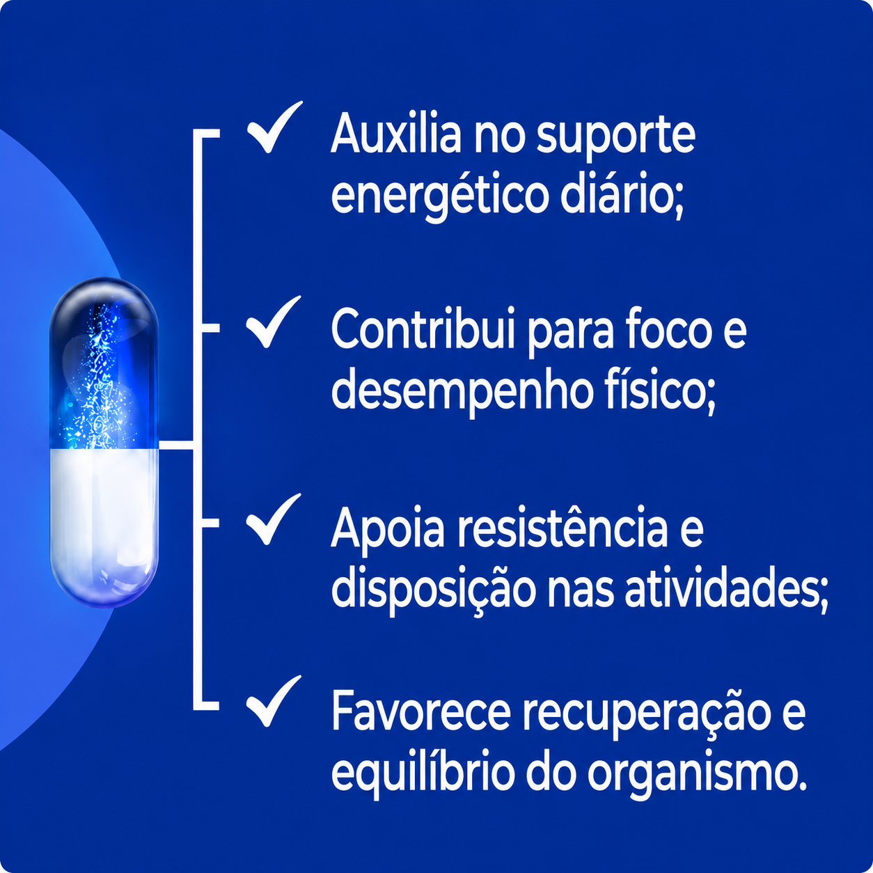 Kit Energia - MSM + Taurina + Teacrine